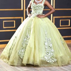 Sage Formal Ballroom Dress Quinceanera Prom Sweet 16