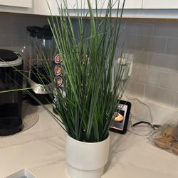 Fake Plant