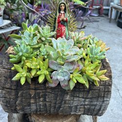 Succulents Arrangements En Tronko Con La Virgen De Guadalupe 