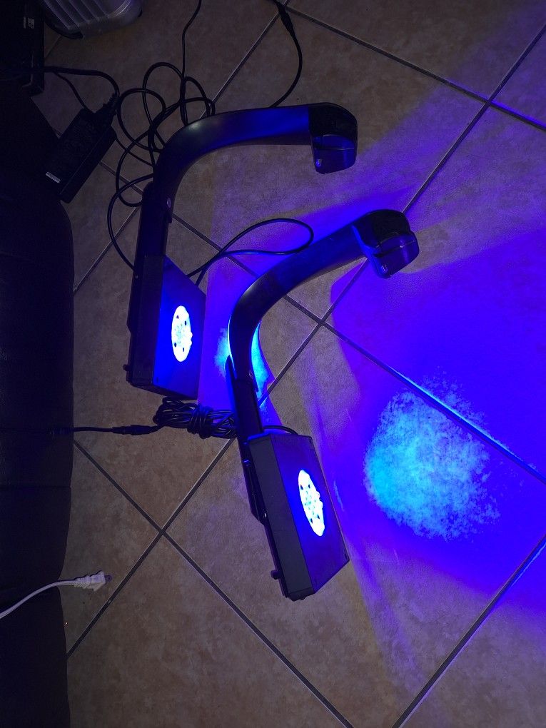 Saltwater Reef Lights 