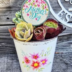 Beautiful Mother's Day Succulent Planter 