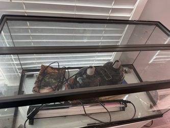 Reptile Tank