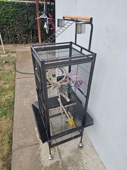 Bird cage