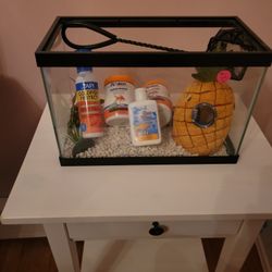 Fish Tank 