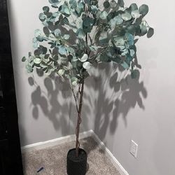 Tree Decor