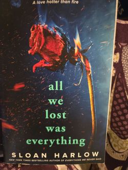 All we lost is Everything book