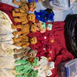 Beanie Baby's 
