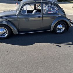 1966 Volkswagen Beetle