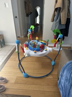 Baby Einstein Bouncer