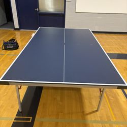 Ping Pong Table #1 