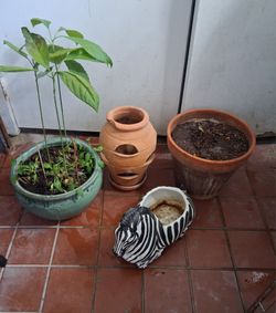 4 Macetas/ Planter Pots $40 Dlls.