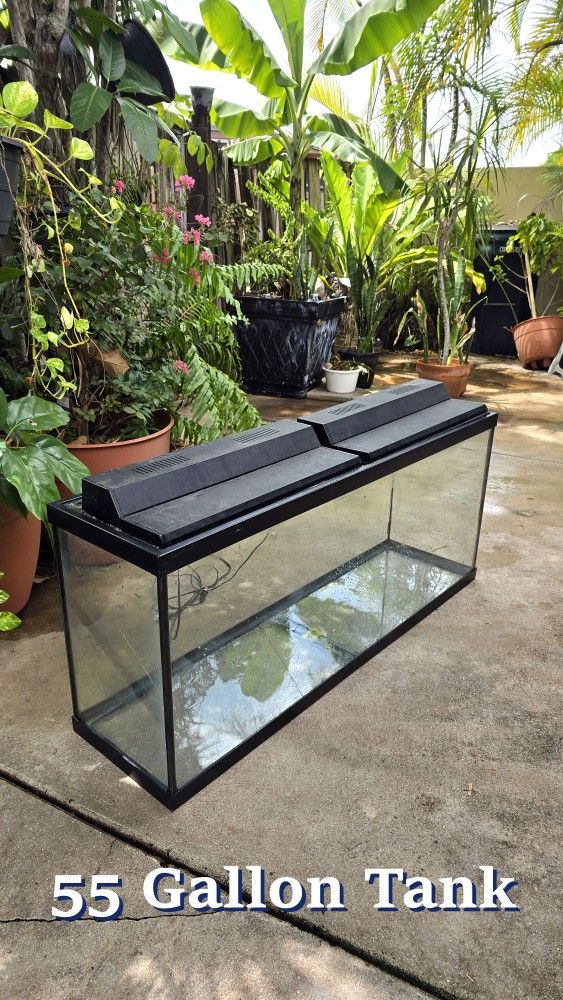 55-Gallon Aquarium Setup – Filter, Sand, Lights, Decorations & More!