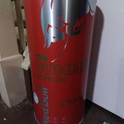 Red Bull Ice Cooler