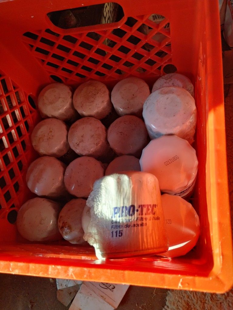 Pro-Tec 115 Oil Filter