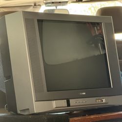 Toshiba 20” Flat Tube Television/Video Player