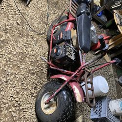 Mini Bike Colman Ct200 