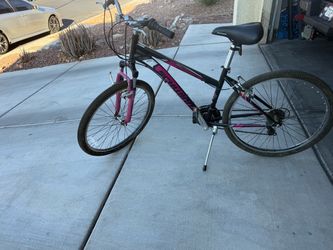 Schwinn sidewinder