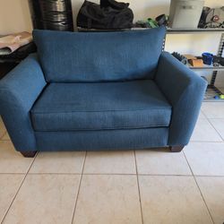 Loveseat Sleeper Sofa