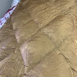 Light brown, Single Doing Duvet