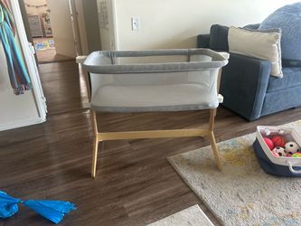 Newton Bassinet