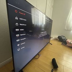 65 Inch Visio Flat Screen