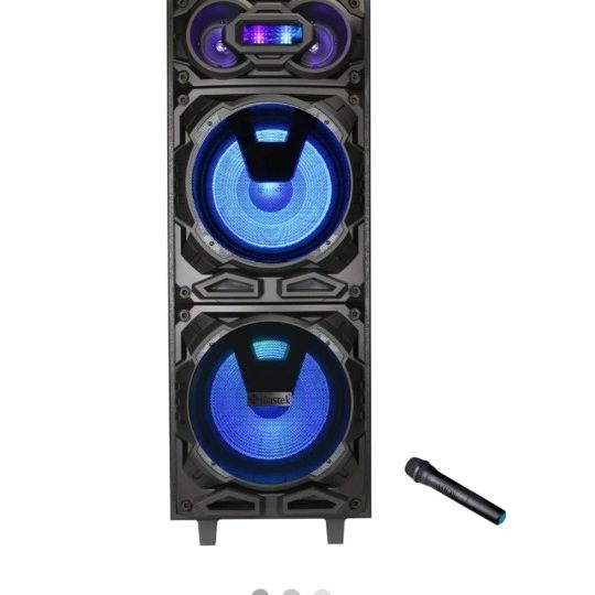 Dual 12" Karaoke Speaker