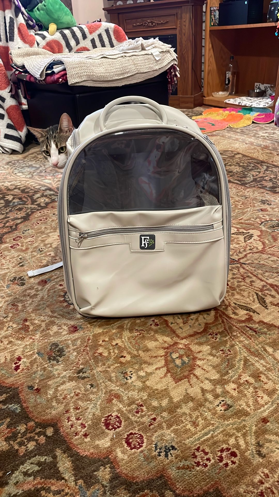 Cat Back Pack