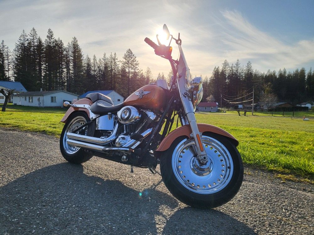 2014 Harley-Davidson FLSTF