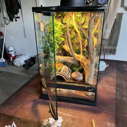 Exo Terra Vertical Glass Terrarium!