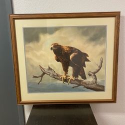 Golden Eagle By Charles Frace 