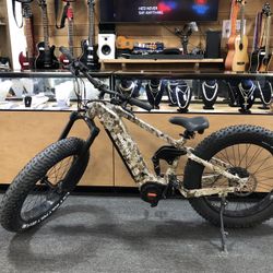 Electric Bike 
