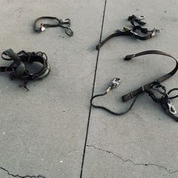Tree Climbing Gear 
