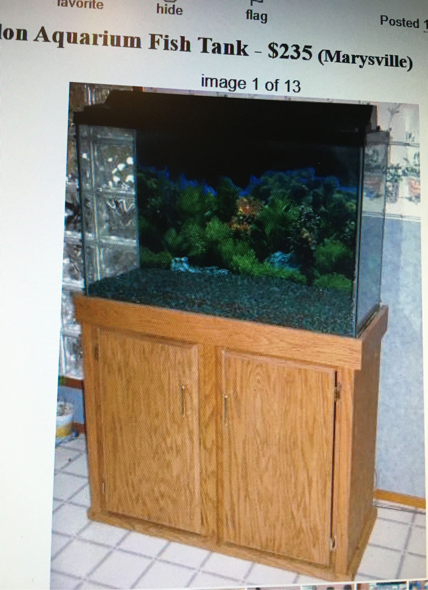 45 gallon Fish Tank
