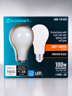 EcoSmart A19 LED Bulbs 2-Pack 100W
