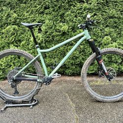 Aggressive Hardtail! Custom Knolly Tyaughton, L