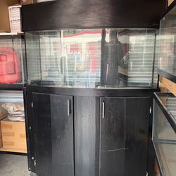 72 Gallon Bow front Tank With Stand