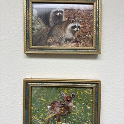 Nature Art Deer And Raccoon In Frames 