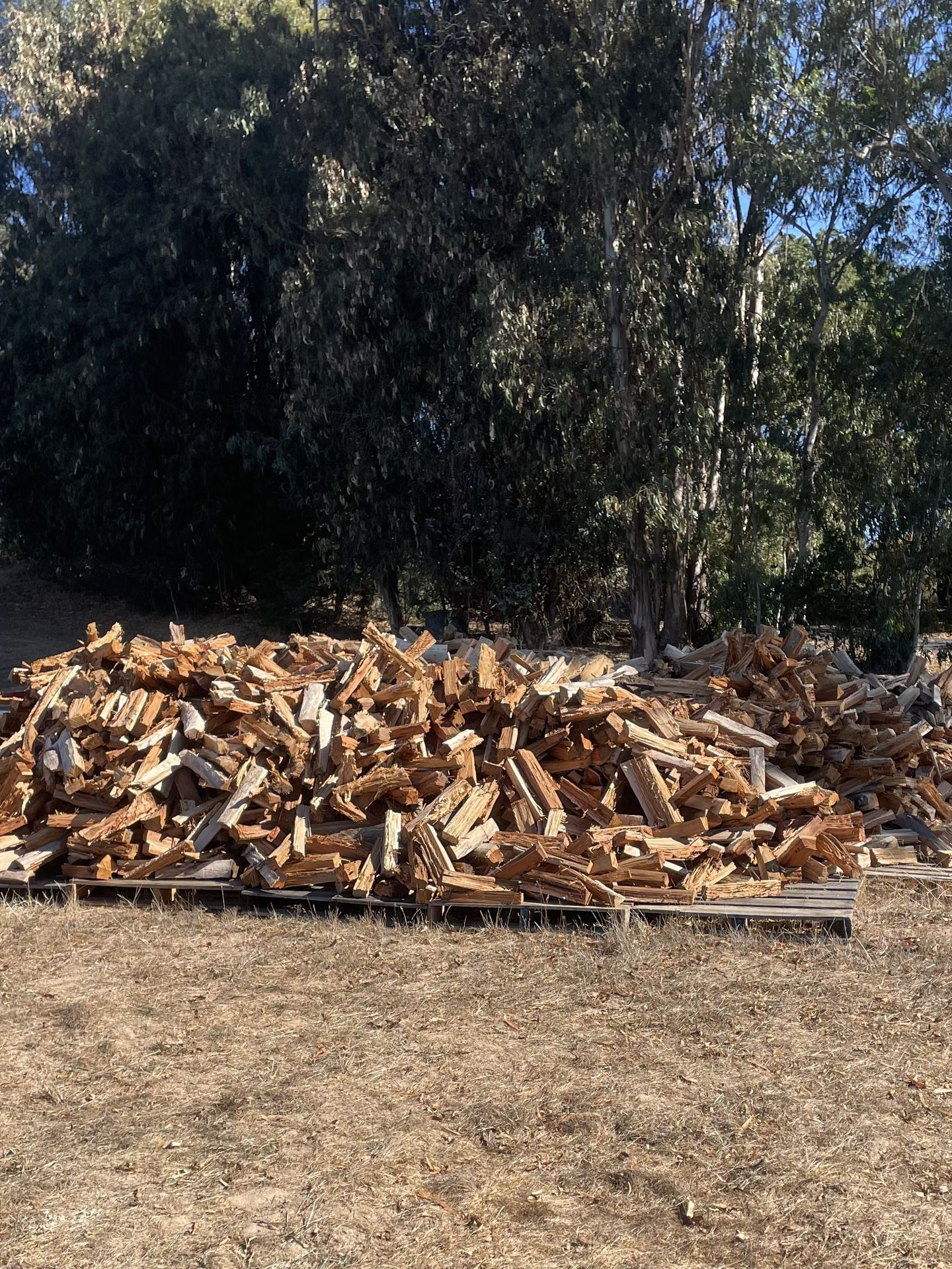 Seasoned Dry Firewood- Free Delivery South County