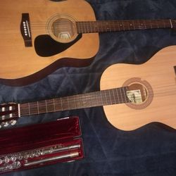 Acoustic Guitars & Flute SALE  $99