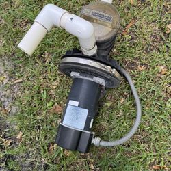 Sta-Rite 1hp Pool Pump Works Great