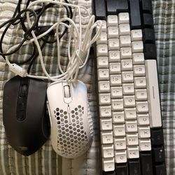 pc, mouse’s and keyboard 