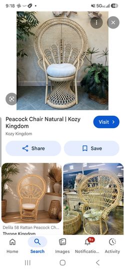 ISO Ratan/Peacock Chair