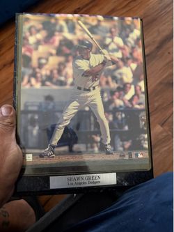 Dodgers Shawn green frame