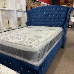 Queen Bed Only 