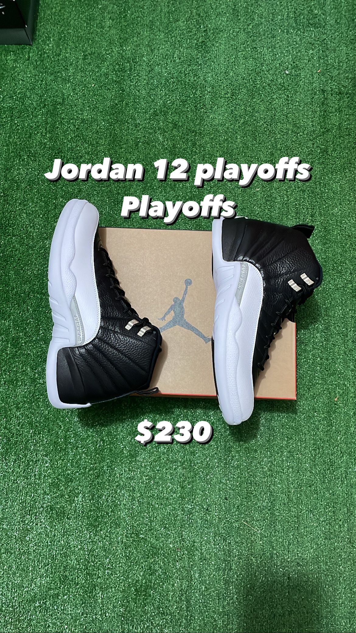 Jordan 12 Playoffs 