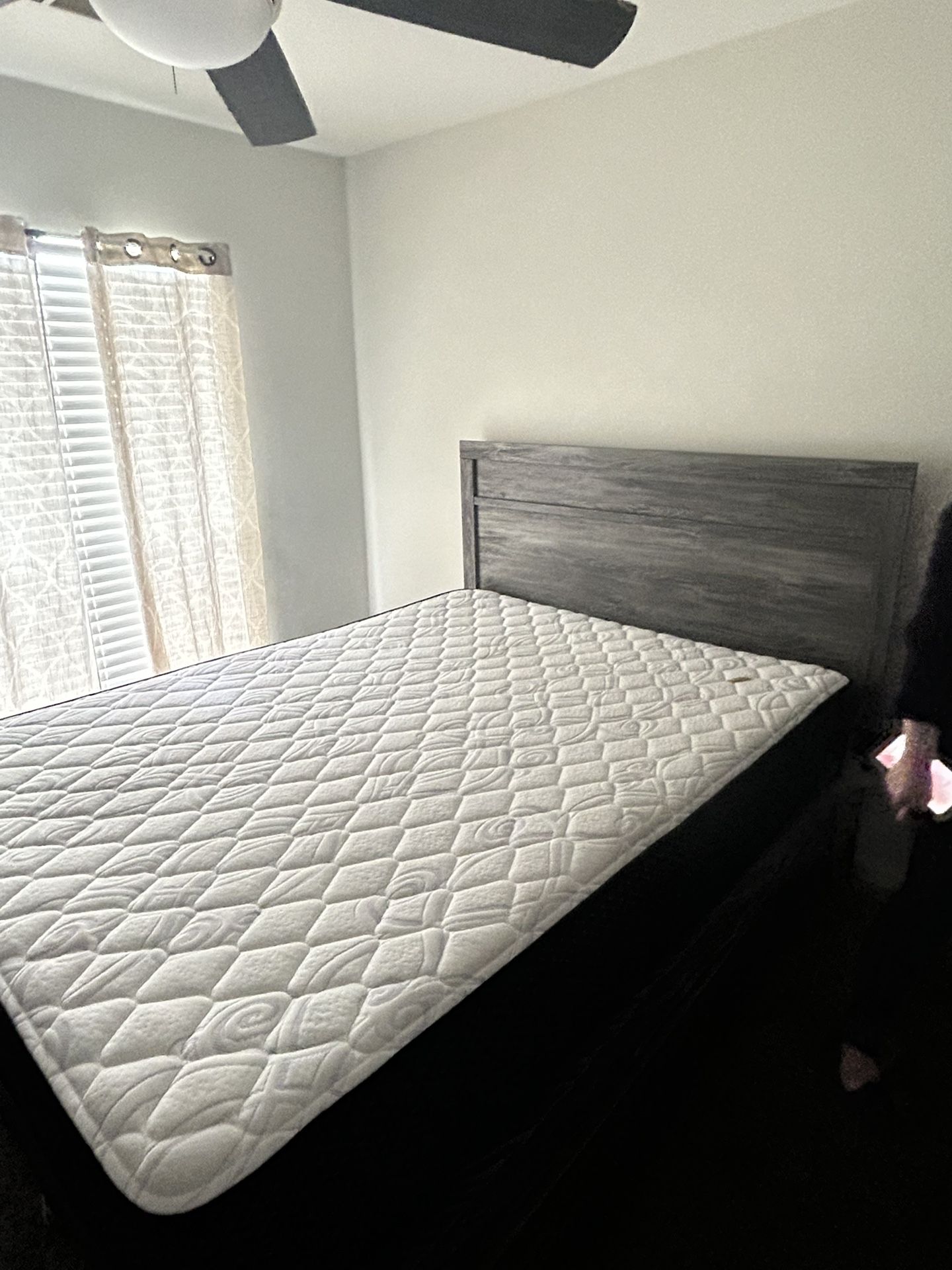 Queen Size Bed And Dresser Mattress And Box spring Included