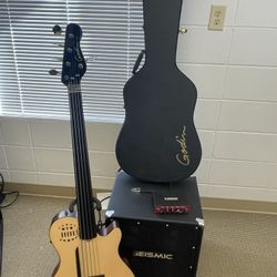 Godin 5 String fret less 