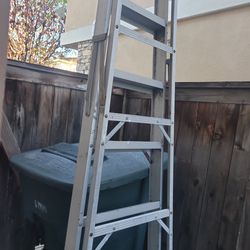 8 Ft Ladder 