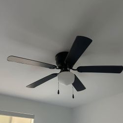 Black Ceiling Fan No Box