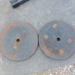 Weights 2x50lbs 1in Hole